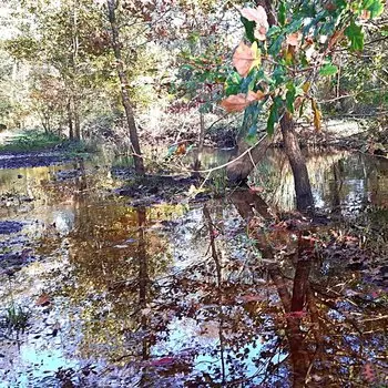 Barthes de Monbardon sous l'eau. Photo VS