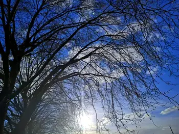 Ciel d'absence, à Yama, ma mère.