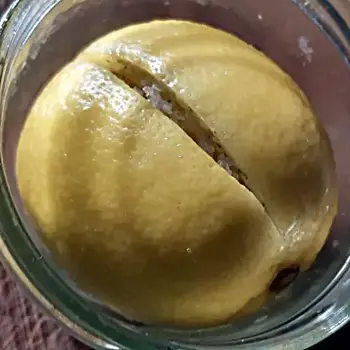 Citron confit au sel
